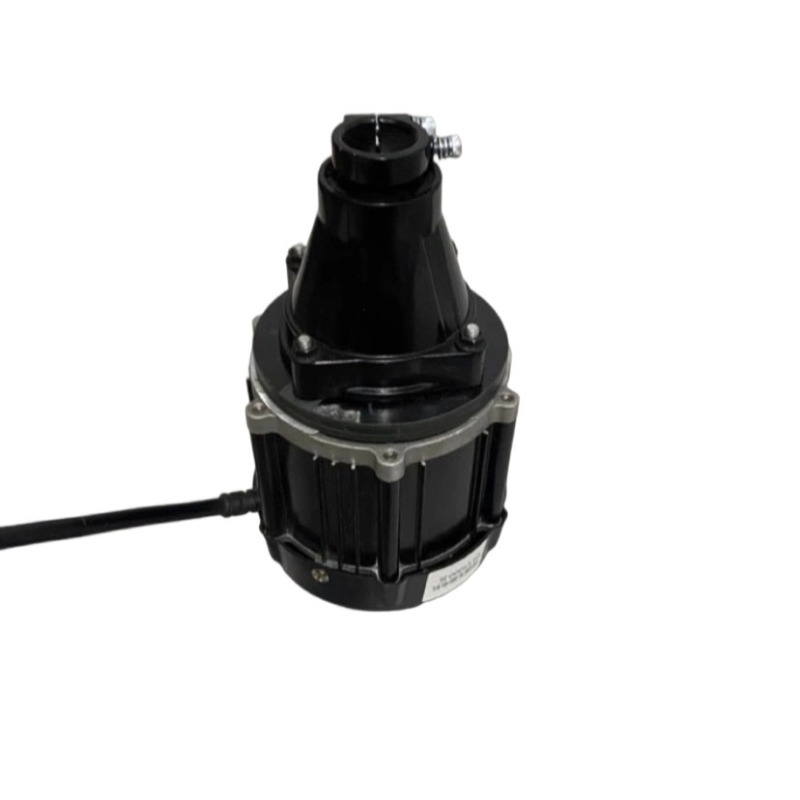 12V-60V 500W-1500W Borstelloze - Fishing Boat Outboard Motor recensie en prijs