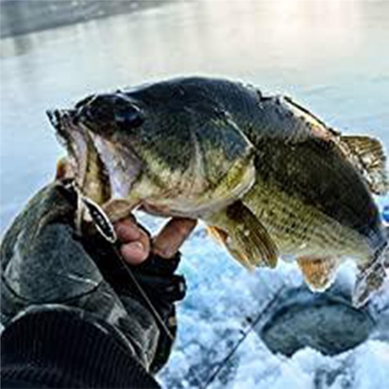 ABLB-Kayak Boot Fishfinder Tra - Fishing Boat Depth Finder recensie en prijs